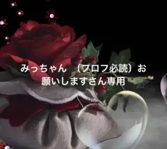 みっちゃん 〔プロフ必読〕お願いしますさん専用
