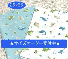 ★人気★恐竜赤ちゃん　２枚★25×35 ランチマット　男の子　サイズオーダー可