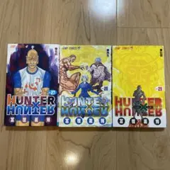 HUNTER×HUNTER 27-29巻セット