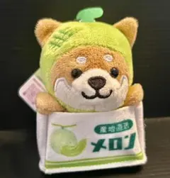 旅するマメしば　メロン バージョン