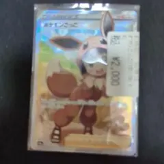 ポケモンカード トレーナー ポケモンごっこ