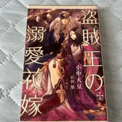 盗賊王の溺愛花嫁