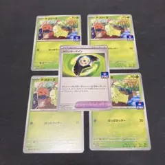 チコリータ プロモ 4枚 ＋１枚セット
