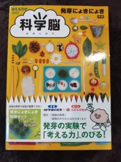 Item thumbnail for item eeb63f3b-fc71-4d40-aa5a-960f012c9b21