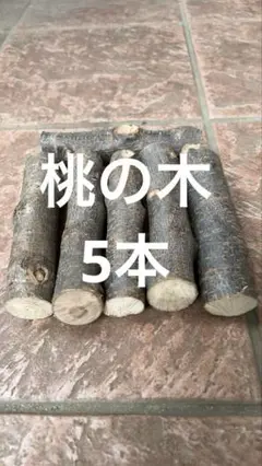 かじり木 桃の木 5本