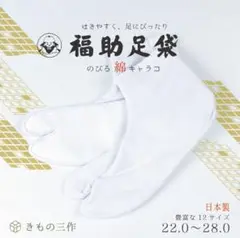 Item thumbnail for item 3e48b4e5-dd60-4e4b-9d1c-3f900d616eb9