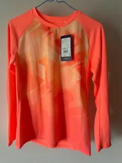 Item thumbnail for item 9b759a2e-ebbf-4bc3-88c0-2b339b2fa2ff