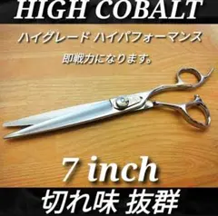 Item thumbnail for item 33dd91a7-4ffb-4716-bbcb-56072895a938
