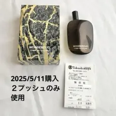 コムデギャルソンワンダーウードCOMMEdes GARÇONSWONDEROUD Celes (セレス) | Comme des Garcons - Wonderwood