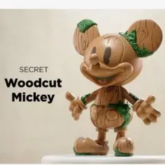 DISNEY 100th Anniversary Mickey Ever-Curious シリーズ