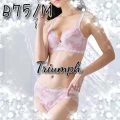 ☆新品☆トリンプ☆華やか羽柄ホワイト☆ストレッチ総レ-スセット☆B75/M☆
