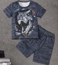 男の子♡恐竜　セットアップ　上下　Tシャツ　ハーフパンツ　２枚セット　140