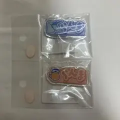 らんま1/2 アクリルバッジ 早乙女乱馬 らんま 2個セット