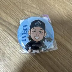 細野 晴希　ガチャ