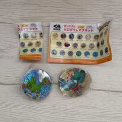 くら寿司 オリジナルホログラムマグネット 2点 テツノイサハ ハバタクカミ