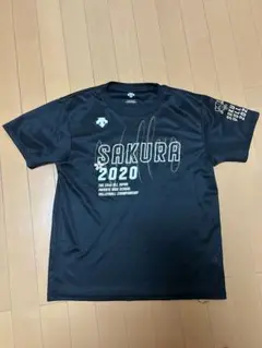 Item thumbnail for item 271ac86f-67b3-40a9-ae82-ae0b81fc02d3