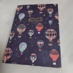 Item thumbnail for item 68d236b8-a0bd-425f-a587-85862cc52013