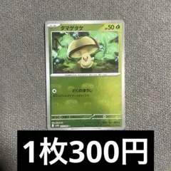 タマゲタケ マスターボールミラー