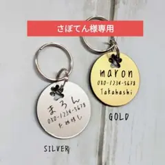 Item thumbnail for item 831a89d9-6328-48ef-aaf7-e77d06f5666b