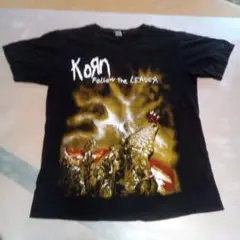 当時物　Korn Follow the Leader オールド　バンドT