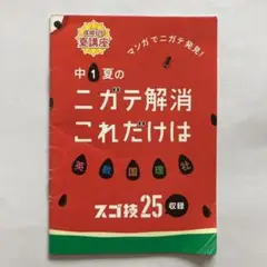 進研ゼミ 中学講座 中1夏のニガテ解消これだけは【2019年度】