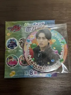 仮面ライダーガヴトレーディング缶バッジコレクションvol2辛木田絆斗