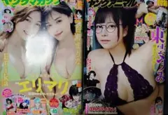 Item thumbnail for item f33b8271-8139-4a0c-bdf4-2cc0bac72a5c