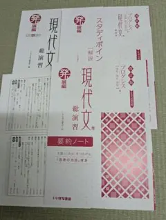 プログレス　現代文