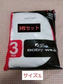 値下げ‼️GUNZE【BODYWILD】綿100%のクルーネック半袖T3枚/L