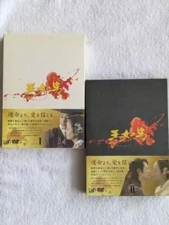 王女の男 DVD 全話12枚組 パク・シフ