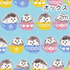 Item thumbnail for item e6ab59fb-2f3c-42fd-a01a-fbc26f2c7a34