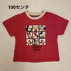 リトシー しまむら 100センチ Tシャツ