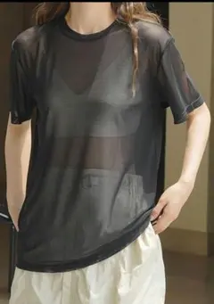ブラック メッシュ　シースルー Tシャツ