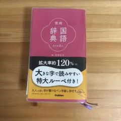 常用国語辞典 特大ルーペ付き