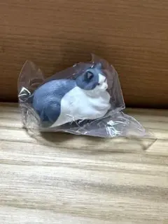 番猫ヌードルクリップ 灰白猫　ガチャ