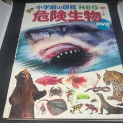 Item thumbnail for item a9471849-465f-4103-b070-5337739da3b7