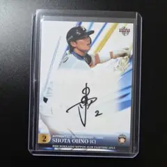 BBM　2009　大野奨太　ルーキー直筆サインカード　日本ハムファイターズ 人気カラーの 大野奨太【2009ルーキーエディション】BBM2009RE