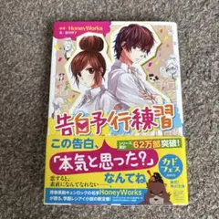 小説　告白予行練習