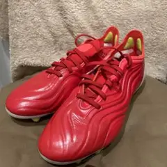 コパセンス.1 AG/HG
