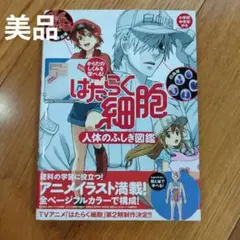 【新品同様】はたらく細胞 人体のふしぎ図鑑