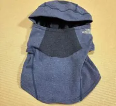 Item thumbnail for item 479aee4a-38b7-4174-b06b-509cc7e72e0a
