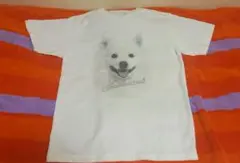 スピッツ　ゴースカvol.8白い犬Tシャツ