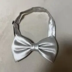 Item thumbnail for item 1abcb260-c3d9-41e9-b402-2b88a3601533