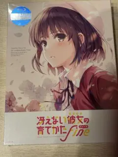 冴えない彼女(ヒロイン)の育てかた Fine('19映画も冴えない製作委員会)…