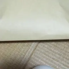 Item thumbnail for item 302ed13b-5096-4215-a03d-84e9e4883a6a