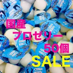 昆虫ゼリー プロゼリー50 クワガタ・カブトムシ・ハムスター・モモンガ・小動物B