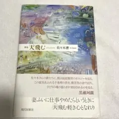 天飛む 佐々木潤著 現代短歌社