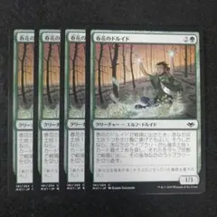 MTG　春花のドルイド　日本語4枚セット　MH1版
