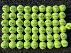 ダンロップフォート、セントジェームス等55球　硬式テニスボール中古
