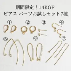 Item thumbnail for item d7182799-ec42-42ab-8439-5dea4245dcab